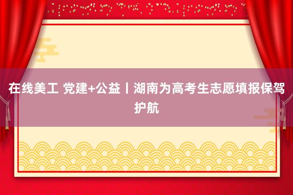 在线美工 党建+公益丨湖南为高考生志愿填报保驾护航