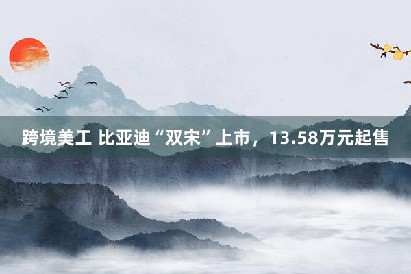 跨境美工 比亚迪“双宋”上市，13.58万元起售