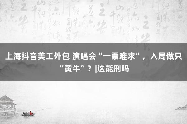 上海抖音美工外包 演唱会“一票难求”，入局做只“黄牛”？|这能刑吗