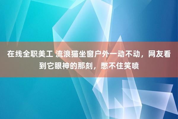 在线全职美工 流浪猫坐窗户外一动不动，网友看到它眼神的那刻，憋不住笑喷