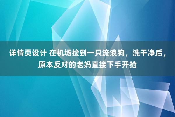 详情页设计 在机场捡到一只流浪狗，洗干净后，原本反对的老妈直接下手开抢