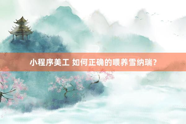 小程序美工 如何正确的喂养雪纳瑞？