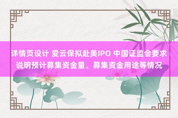 详情页设计 爱云保拟赴美IPO 中国证监会要求说明预计募集资金量、募集资金用途等情况