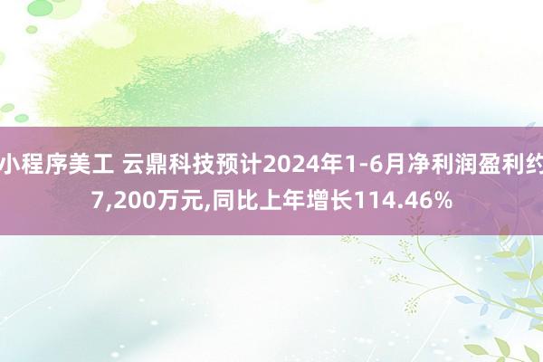 小程序美工 云鼎科技预计2024年1-6月净利润盈利约7,200万元,同比上年增长114.46%