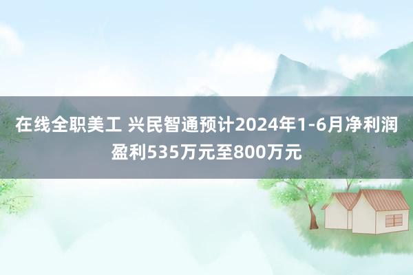 在线全职美工 兴民智通预计2024年1-6月净利润盈利535万元至800万元