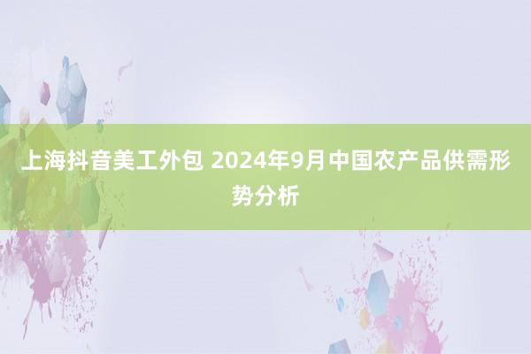 上海抖音美工外包 2024年9月中国农产品供需形势分析